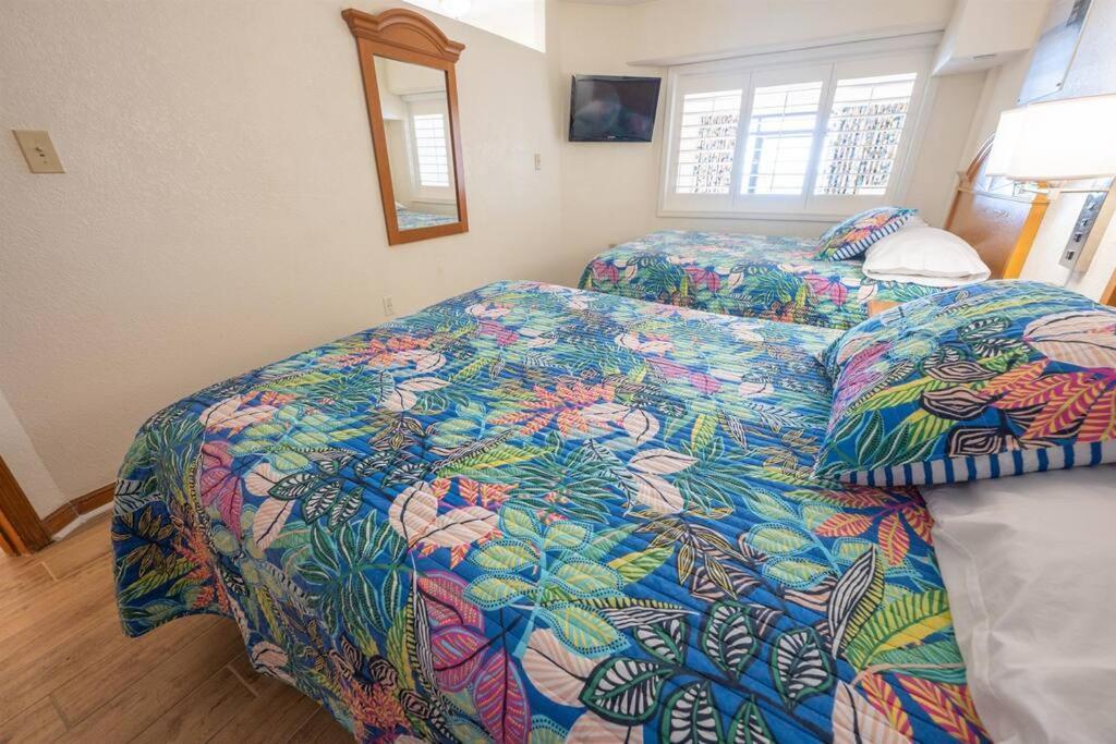 New Remodeled Direct Oceanfront Views Beach Cove Μιρτλ Μπιτς Εξωτερικό φωτογραφία